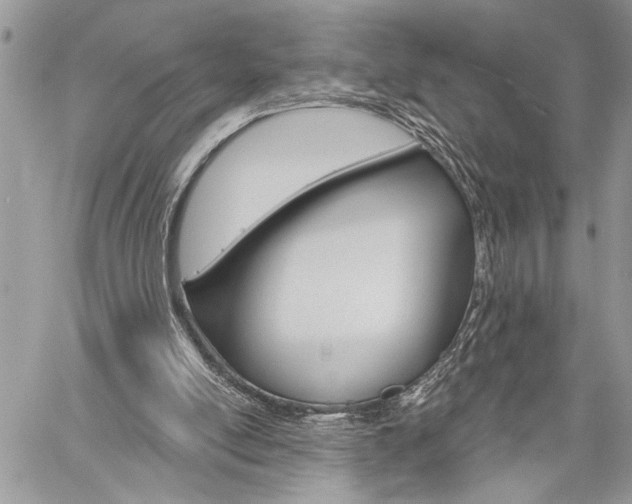 X0000060240054200510280923