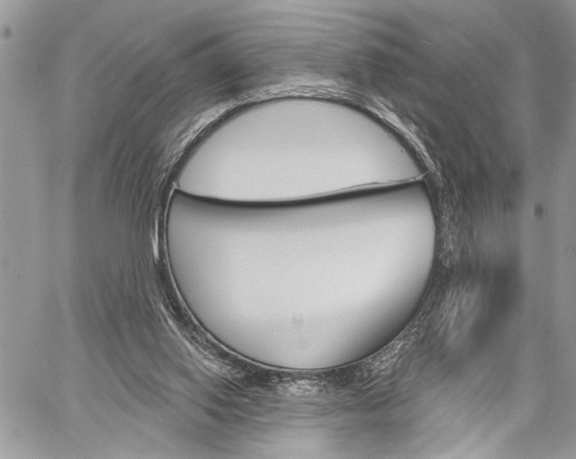 X0000060240062200510280923