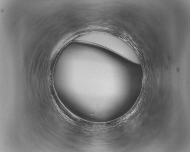 X0000060240101200510280923