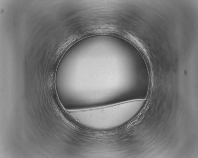 X0000060240105200510280923