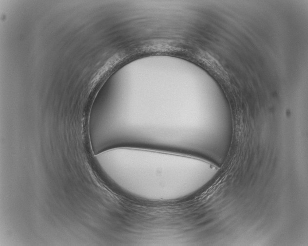 X0000060240111200510280923