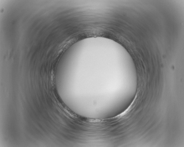 X0000060240144200510280922