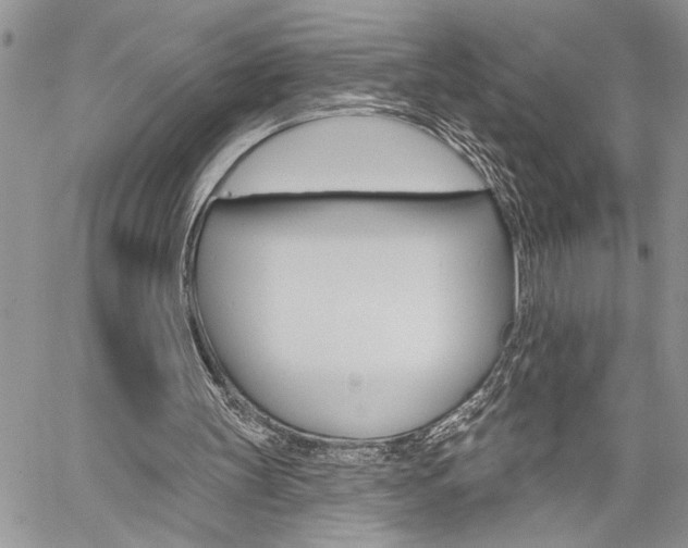 X0000060240147200510280922