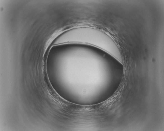 X0000060240152200510280922