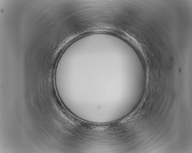 X0000060240155200510280922