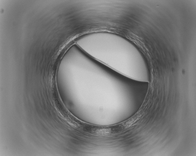 X0000060240156200510280922