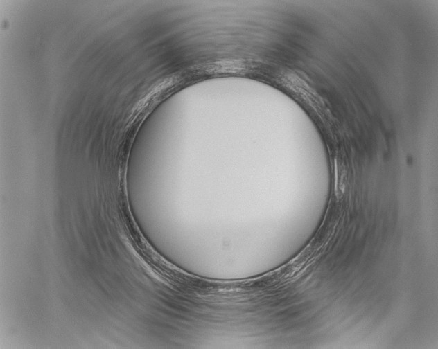 X0000060240157200510280922