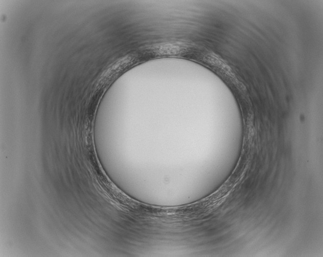 X0000060240161200510280922