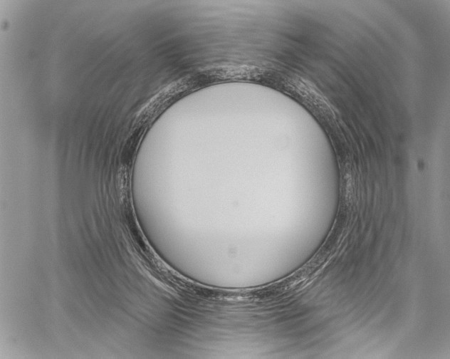 X0000060240165200510280922
