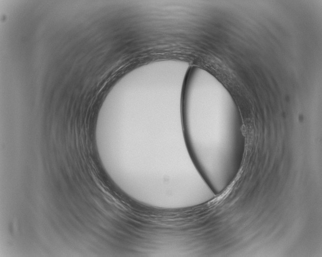 X0000060240174200510280922