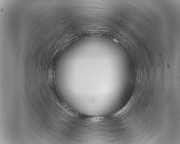X0000060240184200510280922