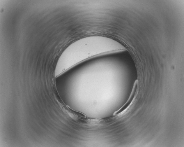 X0000060240192200510280922