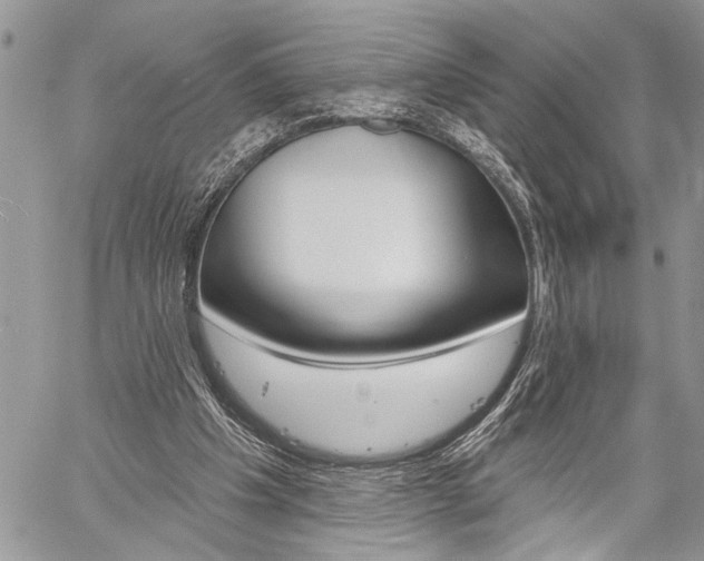 X0000060240201200510280921