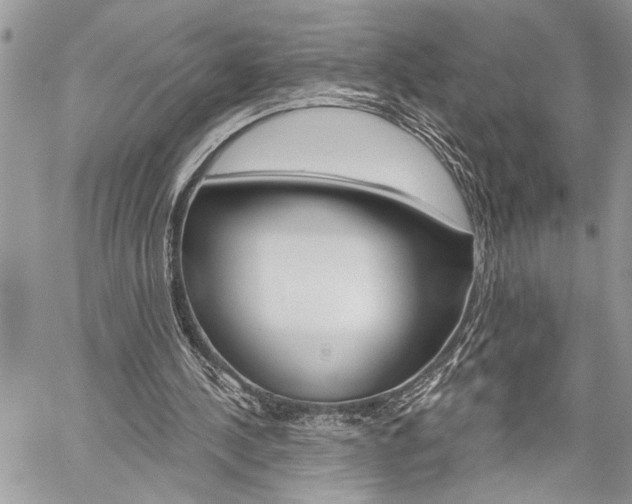X0000060240244200510280920