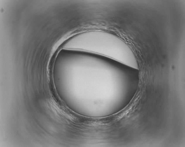 X0000060240246200510280920