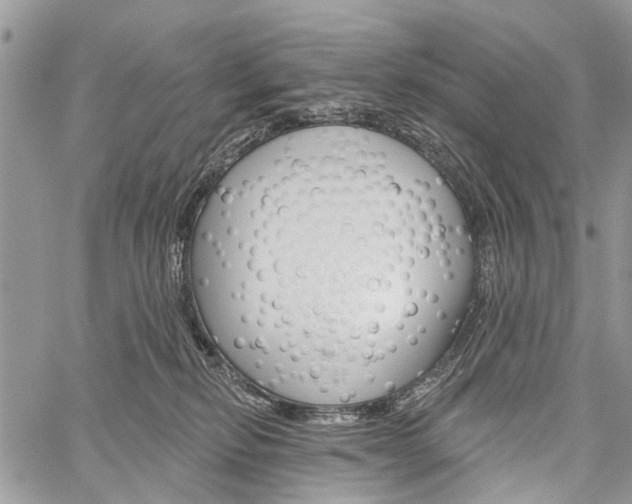 X0000060240278200510280921