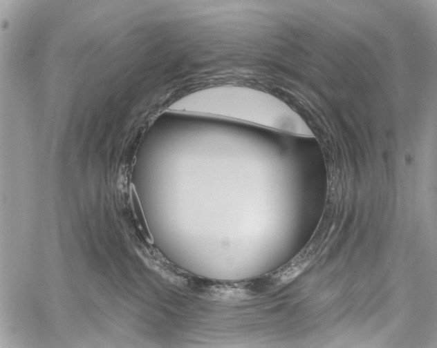 X0000060240284200510280921