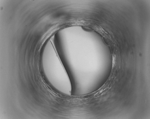 X0000060240291200510280920