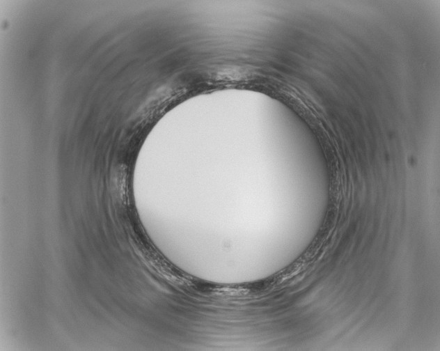 X0000060240328200510280919