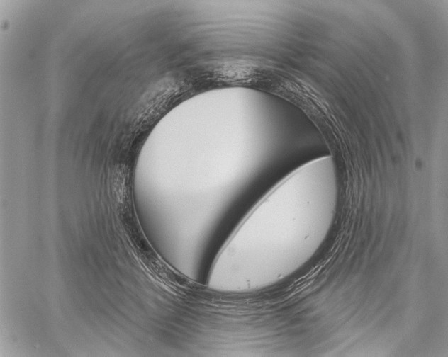 X0000060240412200510280918