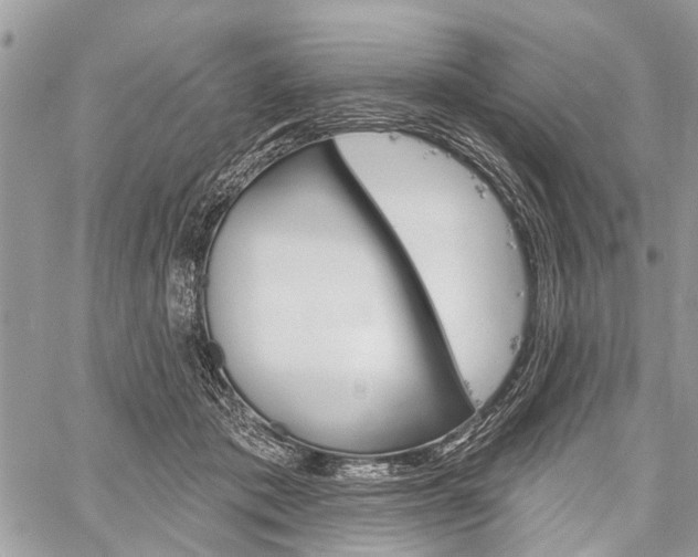 X0000060240413200510280918