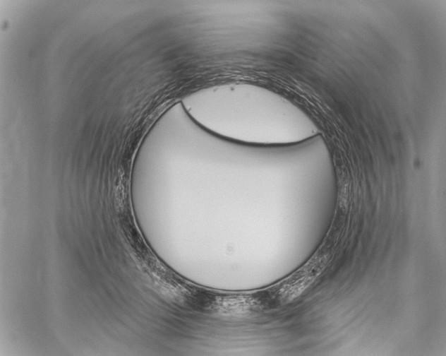 X0000060240414200510280918