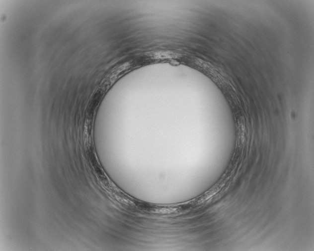 X0000060240422200510280918