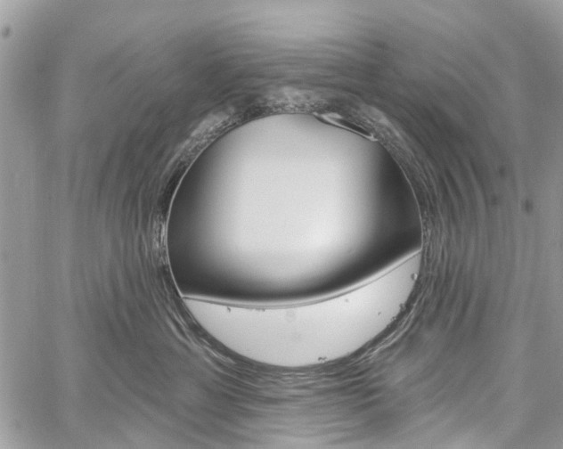 X0000060240429200510280918