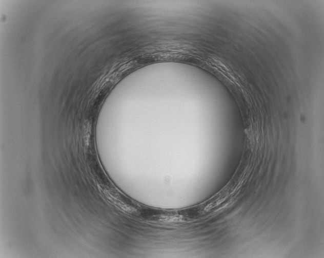 X0000060240458200510280917