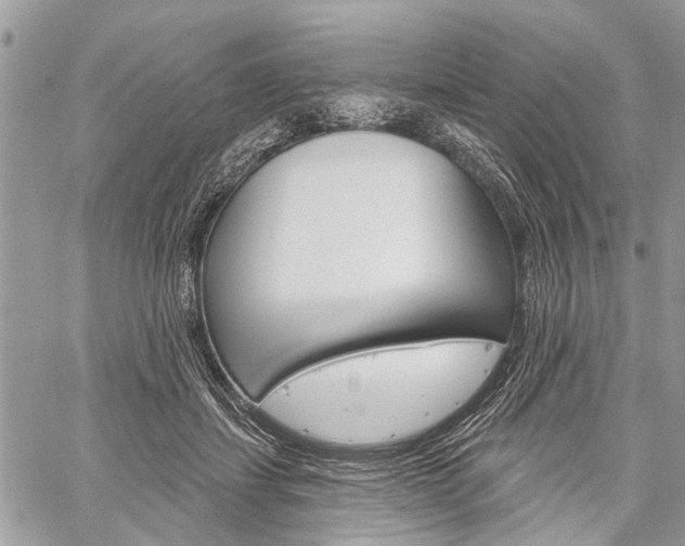X0000060240459200510280917