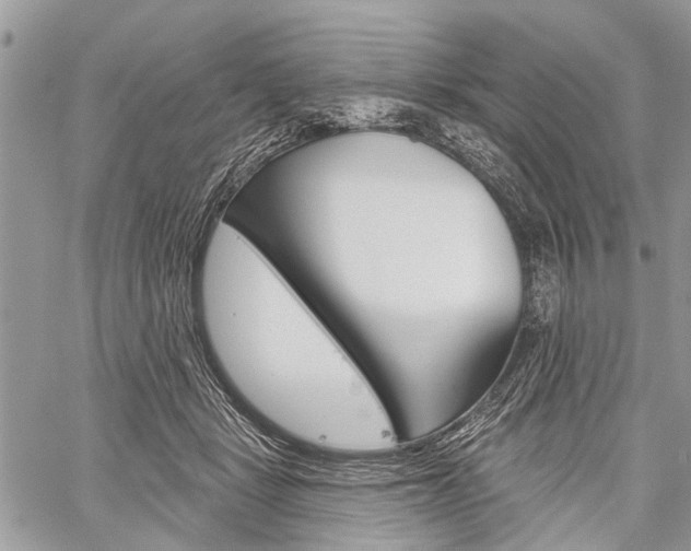 X0000060240461200510280917