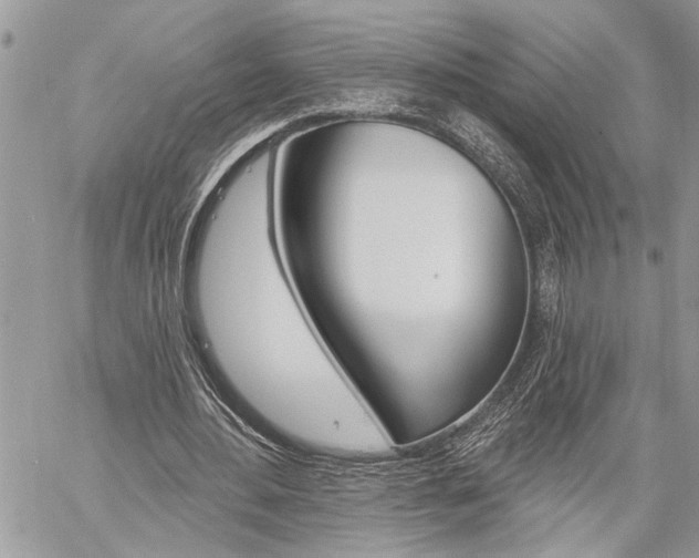 X0000060240484200510280917