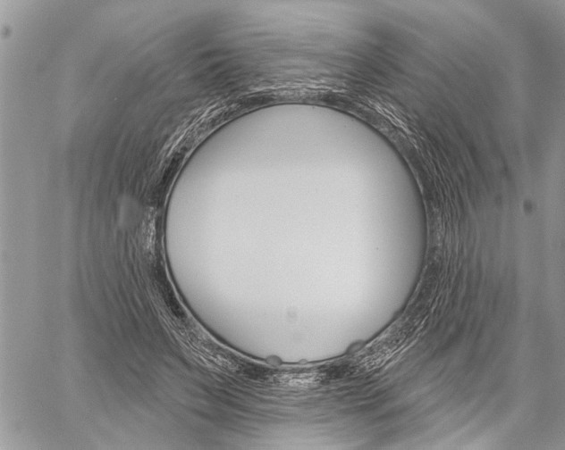 X0000060240495200510280917
