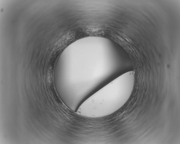 X0000060240515200510280916