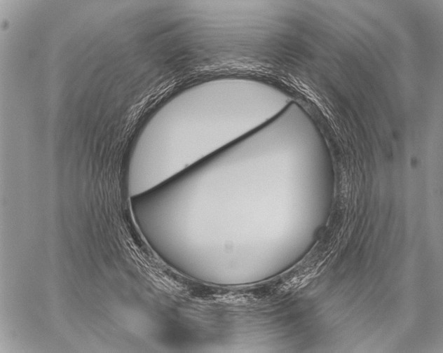 X0000060240545200510280916