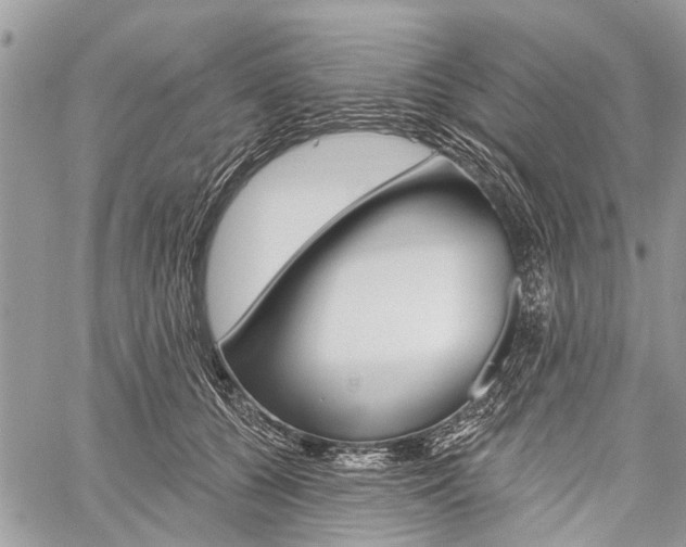 X0000060240560200510280916
