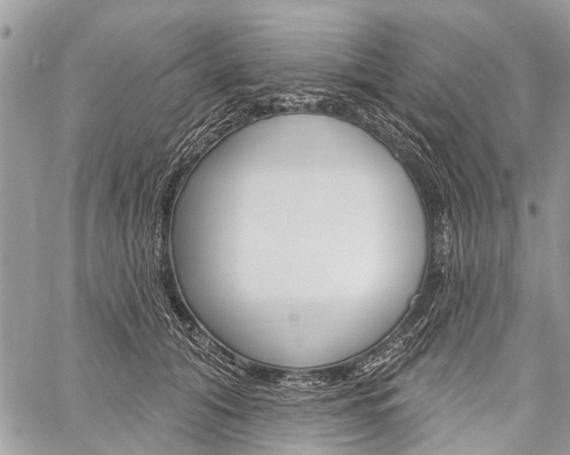 X0000060240608200510280915