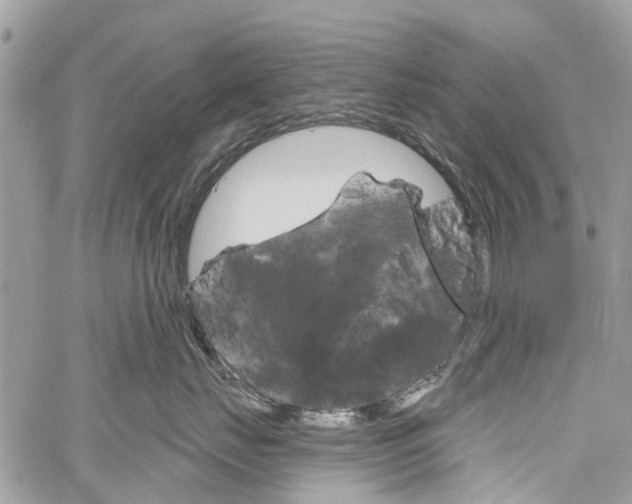 X0000060240671200510280915