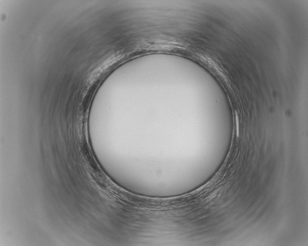 X0000060240675200510280914