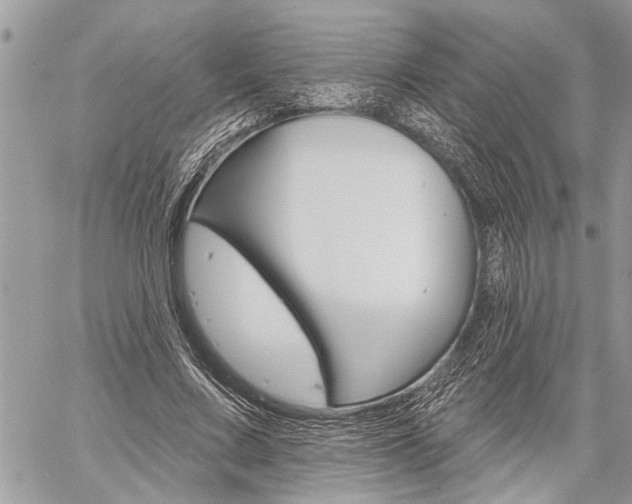 X0000060240683200510280914