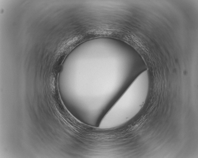 X0000060240692200510280913