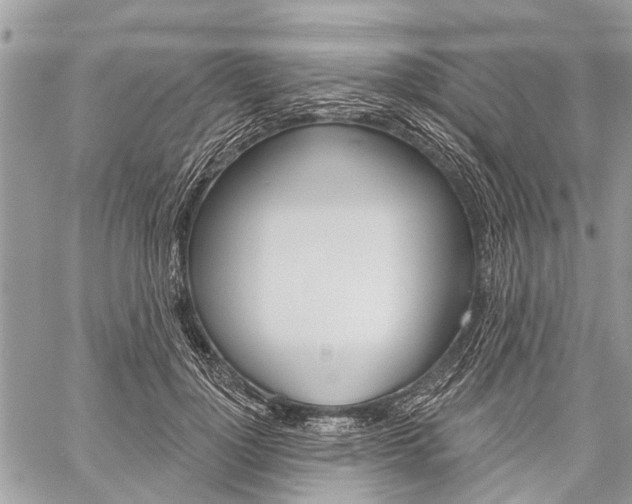 X0000060240748200510280913