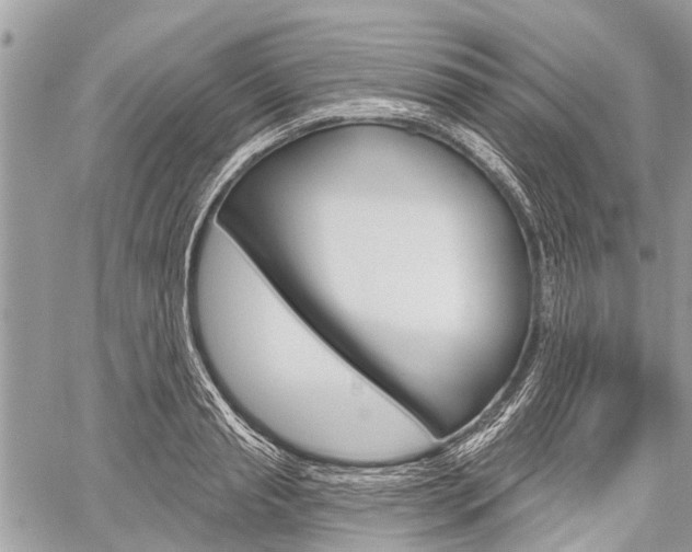 X0000060240845200510280911