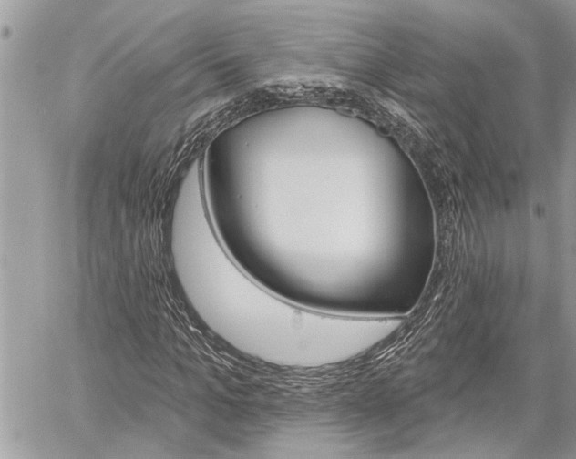 X0000060240965200510280909