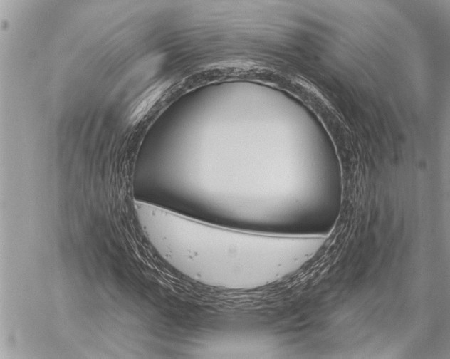 X0000060240967200510280909