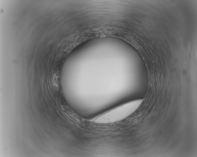 X0000060241010200510280908