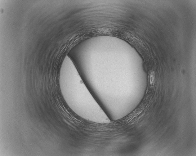 X0000060241011200510280908