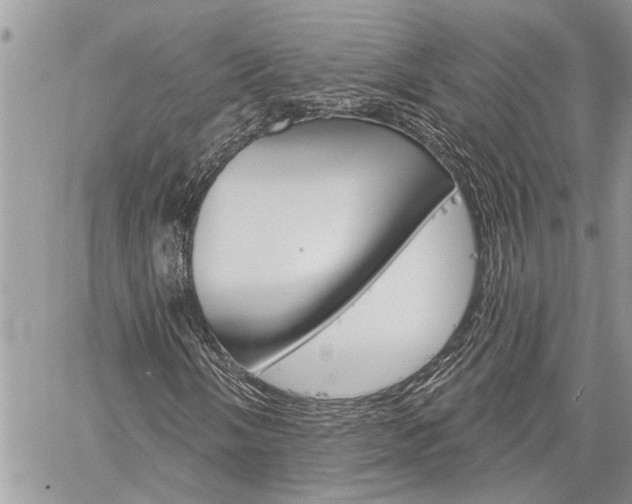 X0000060241058200510280907