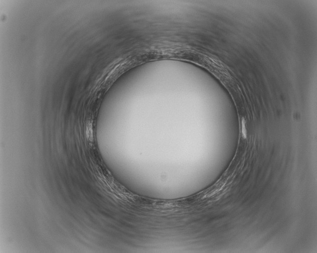 X0000060241155200510280906