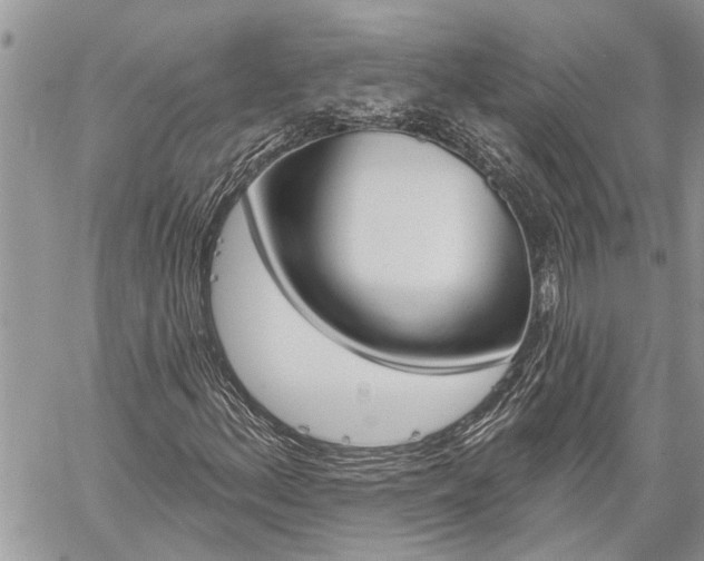 X0000060241156200510280906